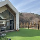 메리도그하우스 이미지