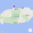 제주 2박3일 혼자 뚜벅이여행 제주동쪽코스