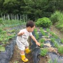 순천농업기술센터 이미지