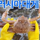 동해항씨푸드 이미지