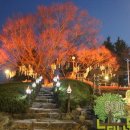 경산(서울)휴게소 네이버블로그