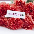 씨채널안경 이미지