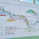 용문산 은행나무길(물소리길 6코스) 이미지