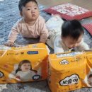 주성이네 옷 이미지