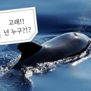 물뿜는 고래 이미지