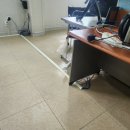 (주)금룡 이미지