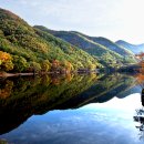 월막리마을회관 | 산소카페 청송 - 관광안내