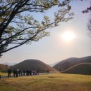 히든풀빌라 | 경주 대릉원 × 경주더히든독채풀빌라펜션힐링 여행코스