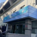 NR-6[공항대로]-하-410 | [D+410] 여자 유도 일기 :: 서울컵 유도대회 출전 후기