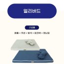 주식회사 얼리버드 이미지