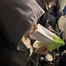 비둘기모사 이미지