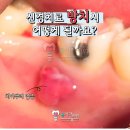 서울용치과의원 이미지