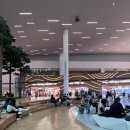 785 | 대한항공 인천공항-가고시마 KE785 탑승 후기 | 기내식 | 기내 영화 종류 등