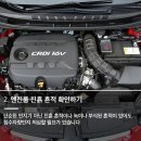 오일리브 이미지