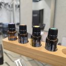 아로마테라피 | 경성대미용실 부산 헤드스파 힐링하고 온 아로마테라피 후기 노크헤어