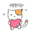 한국마즈(유) 이미지