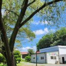 밀알농장 이미지