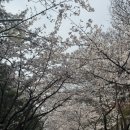 경기도 수원시 권선구 권중로 171 이미지