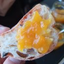 살구쟁이들 이미지