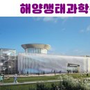 셀럽프라자 이미지