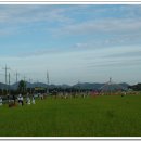 허수아비 이미지