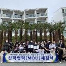 바람의언덕 호텔&리조트 이미지
