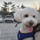 로둥이네 네이버블로그