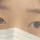 메이쥬뷰티