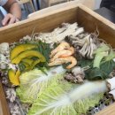 K팝스타코인노래.멀티게임 이미지