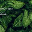 네이처코드 이미지