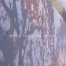 햇빛서점 이미지
