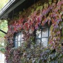 근대로의여행 골목투어1코스 이미지