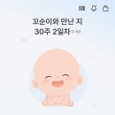 대성세탁소 | 2026. 04
