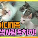 고교농장(2) 이미지