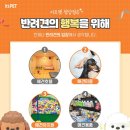 이츠펫(청당점) 네이버블로그