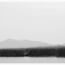 순천만여행스케치 이미지