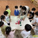 자연유치원 이미지