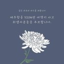 2024년 마무리하는김에 안쓰긴 아깝고 쓰자니 별거없는 사진털이 겸 연말결산