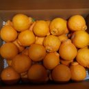 한희철 농장 이미지