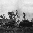 나무르 카카오 검색결과