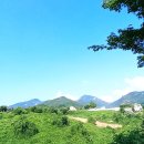 이른아침호숫가 이미지