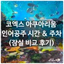 공주-36 | 코엑스 아쿠아리움 씨라이프 인어공주 시간 &amp; 주차 꿀팁(잠실 비교 후기)