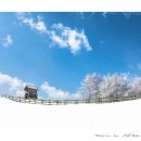 하이얀목장 이미지