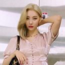 H0505 이미지