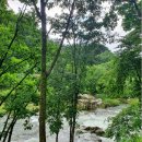 화이트캐슬평창 이미지