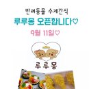 루루몽 이미지