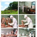 수도한우 이미지