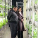 의주농장 이미지