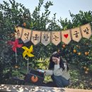 성미농장 이미지