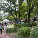 아쿠아스포츠 | 2026 롯데 아쿠아슬론 직관 후기! 석촌호수에서 펼쳐진 도심 속 가장 특별한 스포츠 축제